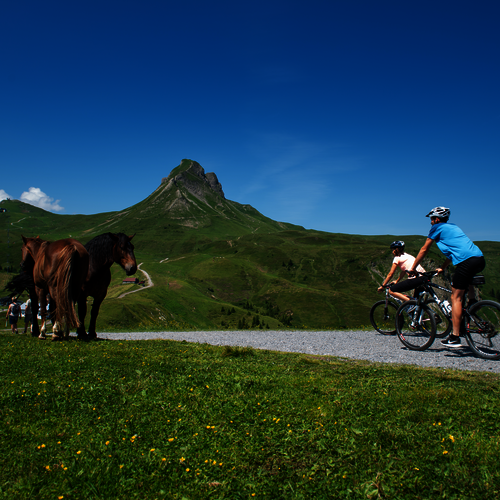 Biken auf die Elsenalp: Tourentipp ab den Alpenstolz Damüls Appartements
